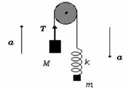carrucola con pesi di cui uno con la molla